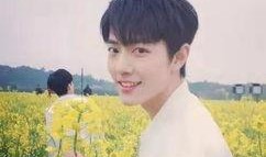 路人爆料杨紫肖战视频,甜蜜互动引网友热议