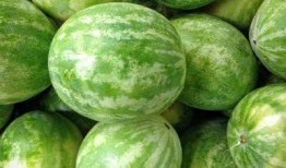 阳江网红吃瓜群微信,揭秘网络红人的幕后故事