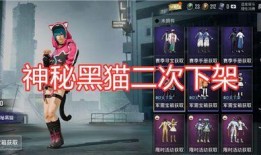 在哪里看军需爆料视频回放